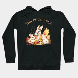 Year of the rabbit Hoodie